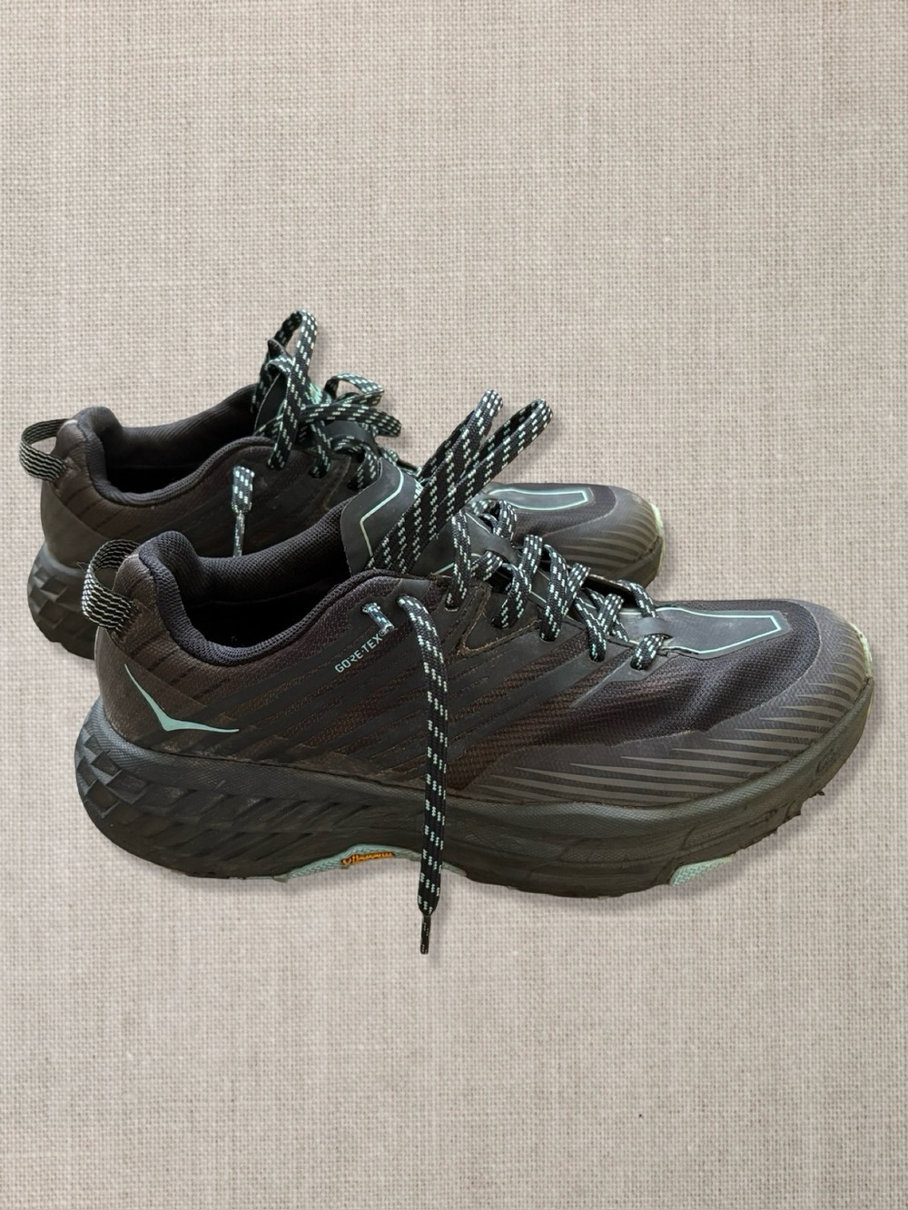 Hoka Speedgoat 4 GORE-TEX
